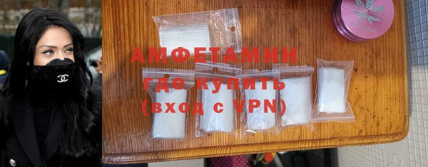 шишки Баксан