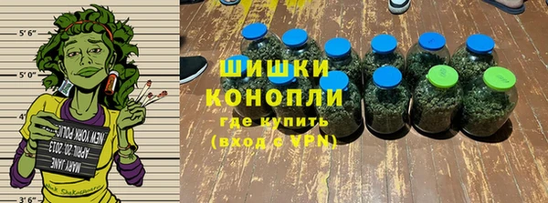 шишки Баксан