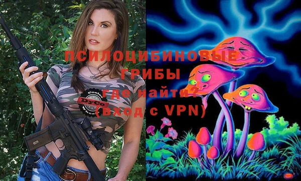 ГАЛЛЮЦИНОГЕННЫЕ ГРИБЫ Балабаново