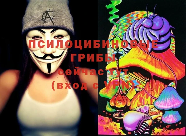 шишки Баксан