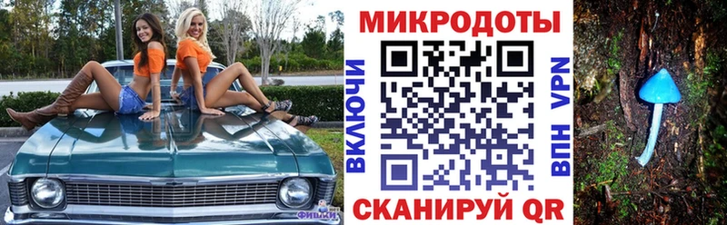 закладки  Реутов  Галлюциногенные грибы Cubensis 